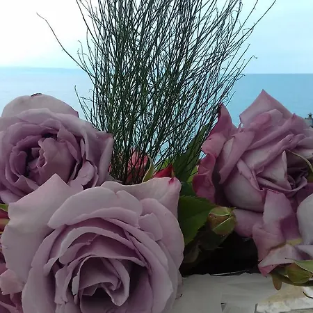 Hotel Diamanti Sozopol